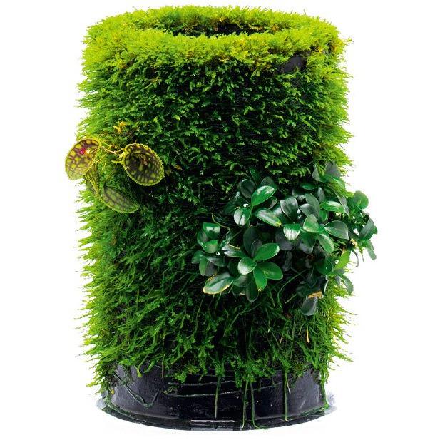 Dooa Terra Base S - Akvarieboden