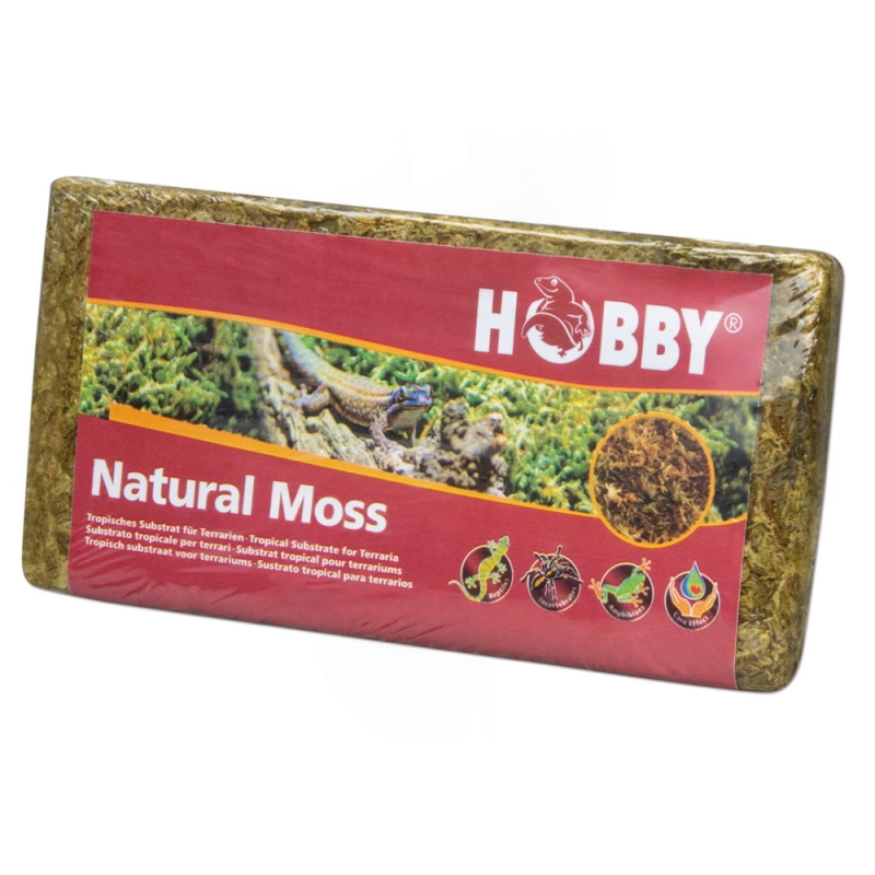 HOBBY Terrano Dried Moss main image 1
